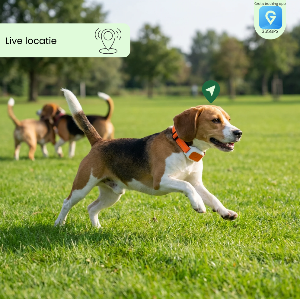 Smart Pet Locator - GPS halsband