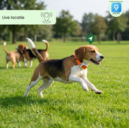 Smart Pet Locator - GPS halsband