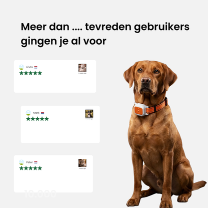 Smart Pet Locator - GPS halsband