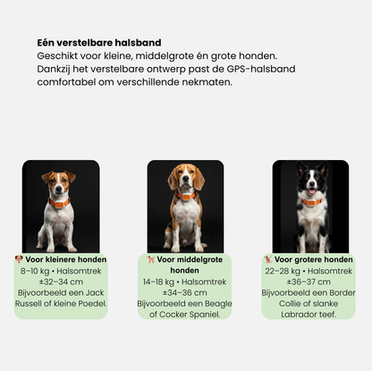 Smart Pet Locator - GPS halsband