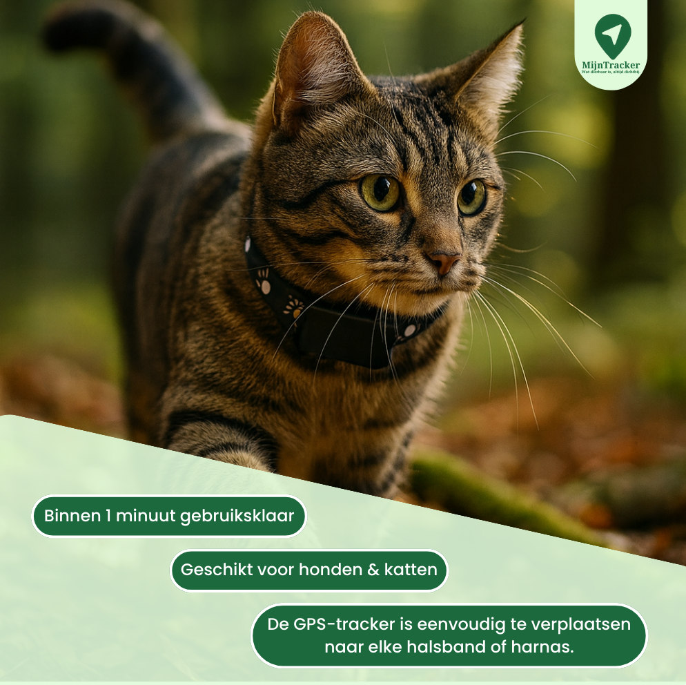 Find My Buddy | GPS Halsband voor honden en katten