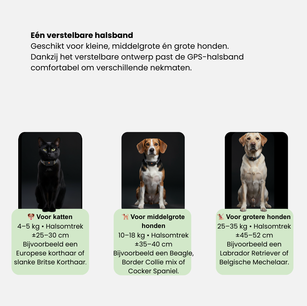 Smart Pet GPS Tracker