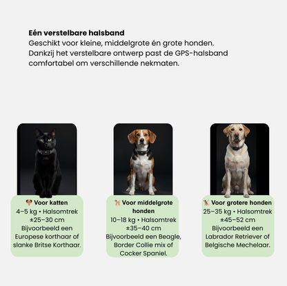 Smart Pet GPS Tracker