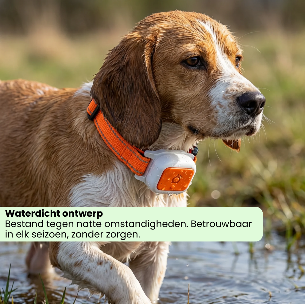 Smart Pet Locator - GPS halsband