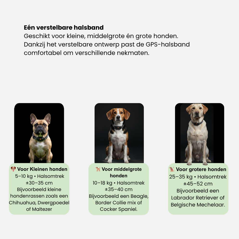 Smart Pet GPS Tracker