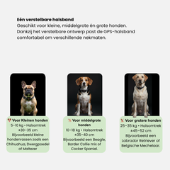 Intelligenter GPS-Tracker für Haustiere