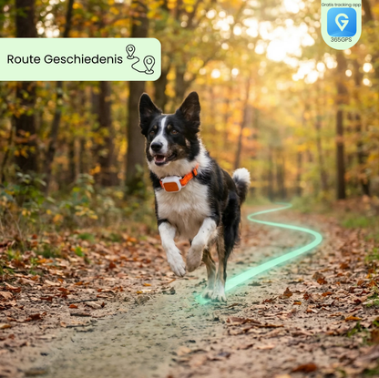 Smart Pet Locator - GPS halsband