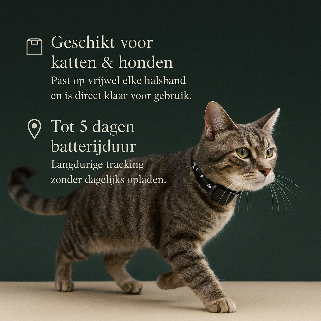 FINDMYBUDDY | GPS Halsband voor honden en katten