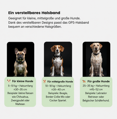 Intelligenter GPS-Tracker für Haustiere