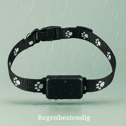 Find My Buddy | GPS Halsband voor honden en katten