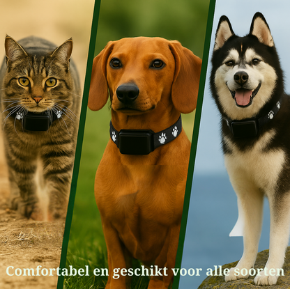Find My Buddy | GPS Halsband voor honden en katten
