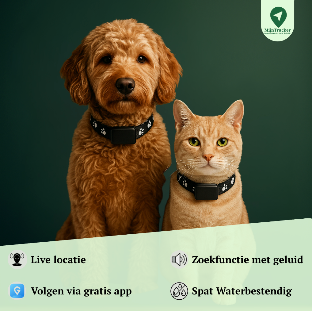 Find My Buddy | GPS Halsband voor honden en katten
