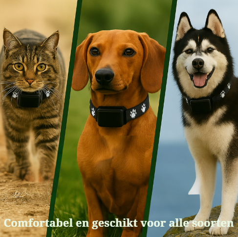 FINDMYBUDDY | GPS Halsband voor honden en katten