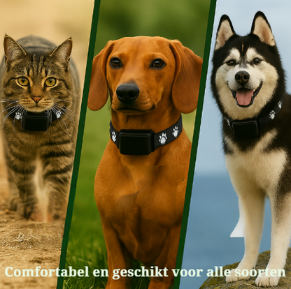 FINDMYBUDDY | GPS Halsband voor honden en katten