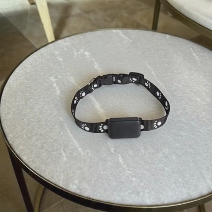 Find My Buddy | GPS Halsband voor honden en katten